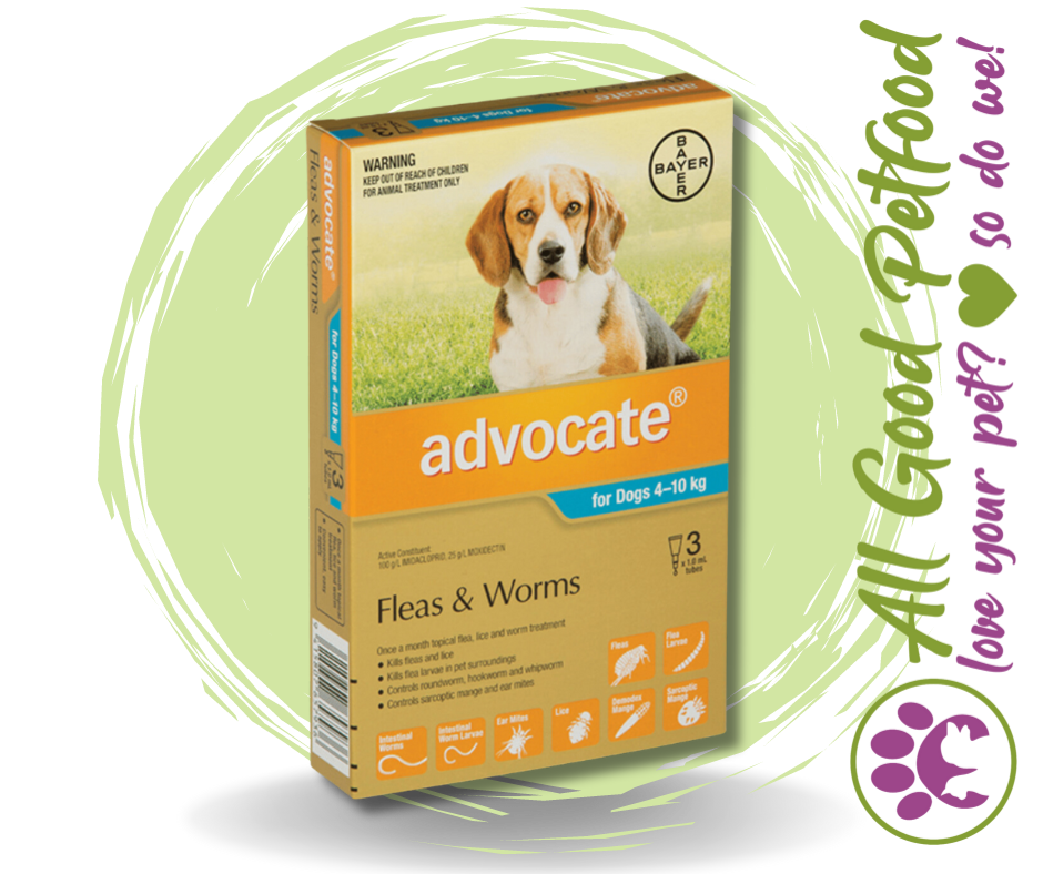 Advocate for Medium Dogs 4kg - 10kg - 3 Pack