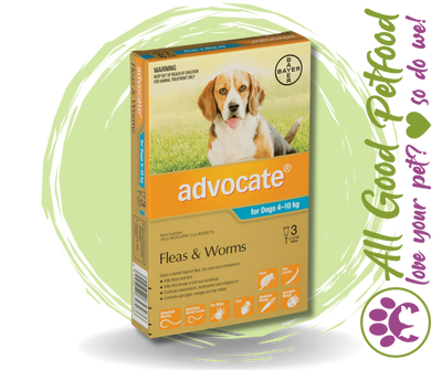 Advocate for Medium Dogs 4kg - 10kg - 3 Pack