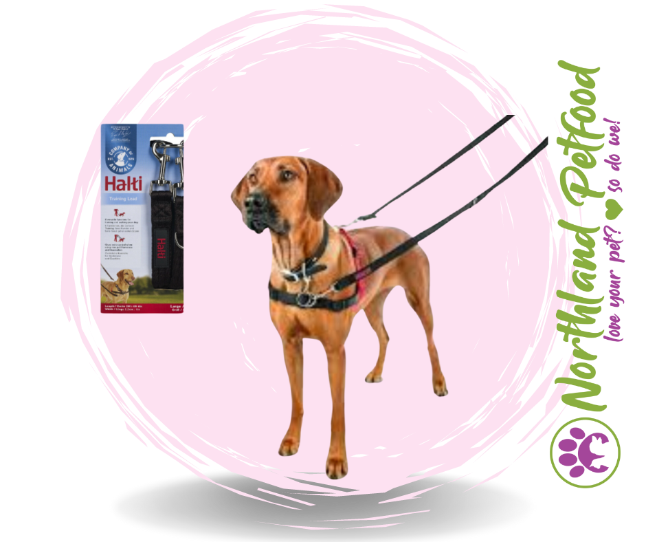 Halti Training Lead