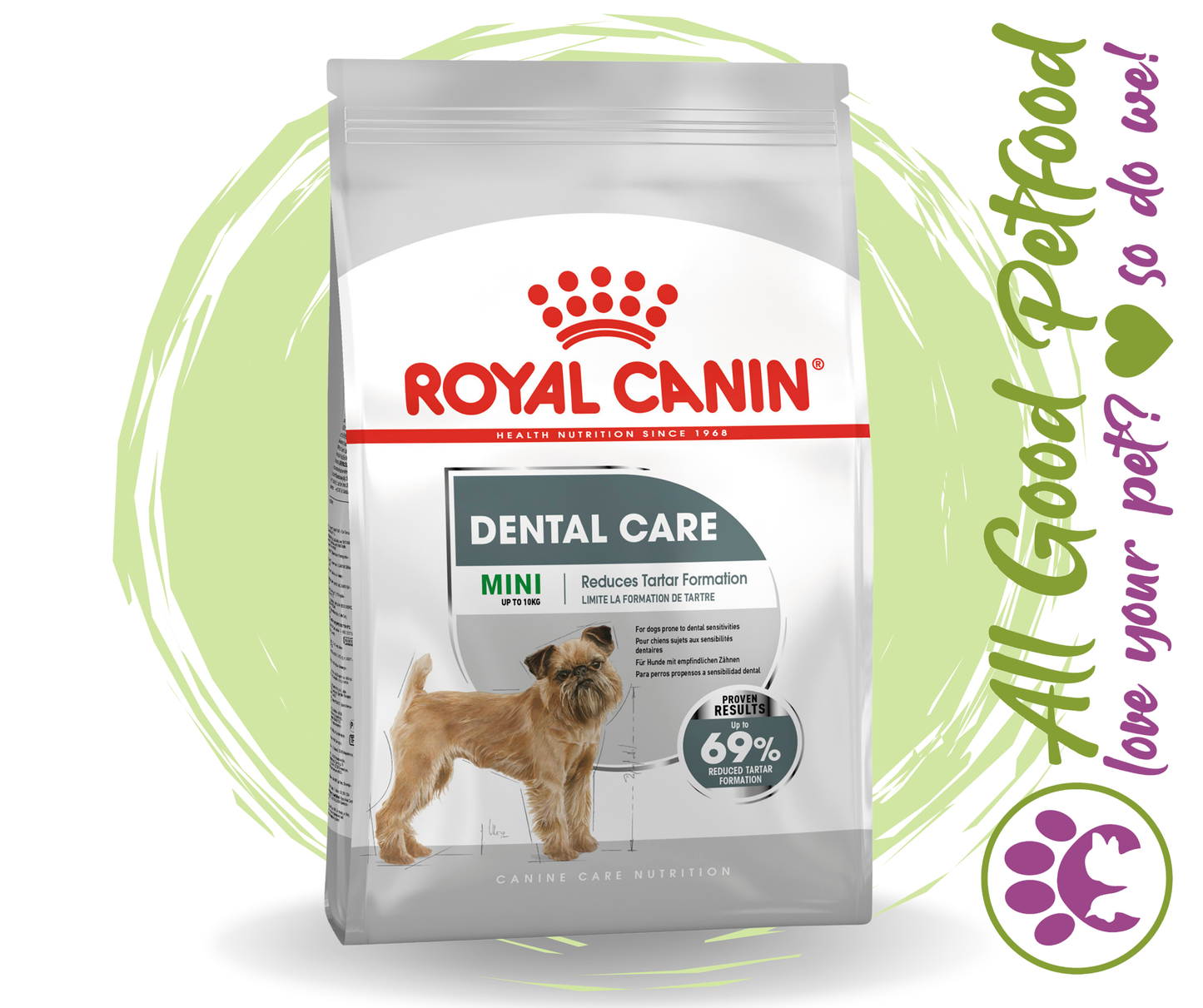 Royal Canin Mini Dental Care Dry Adult Dog Food