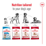 Royal Canin Medium Adult Dry Dog Food