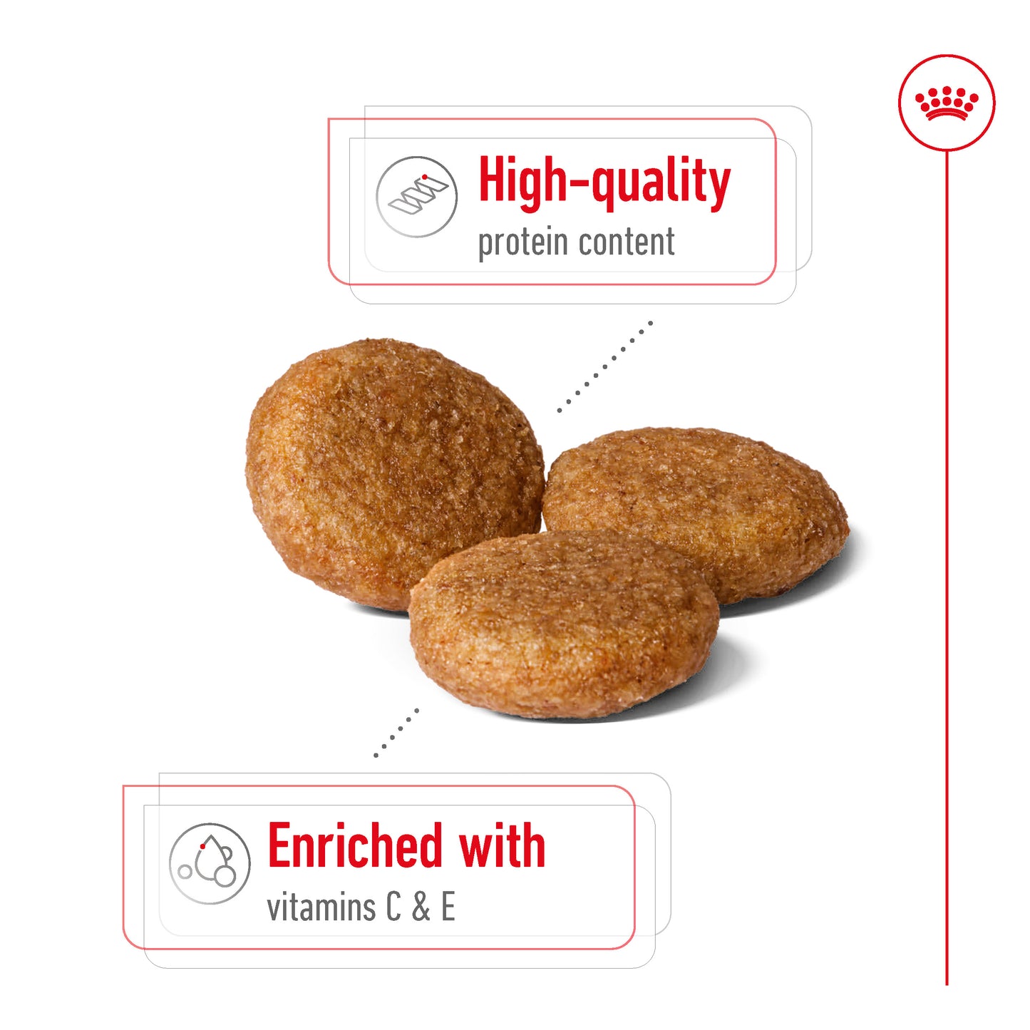 Royal Canin Medium Adult Dry Dog Food