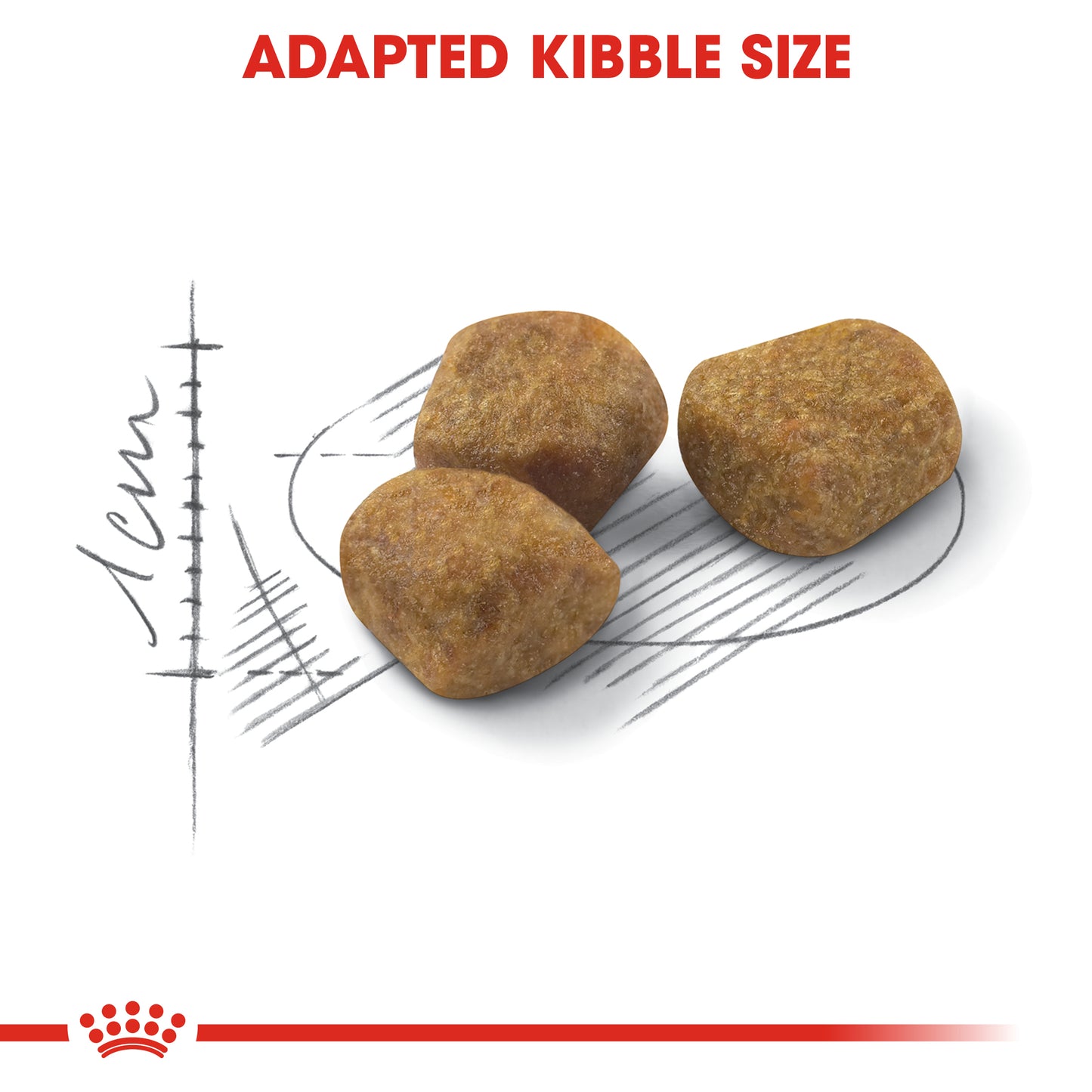 Royal Canin Fit Adult Dry Cat Food