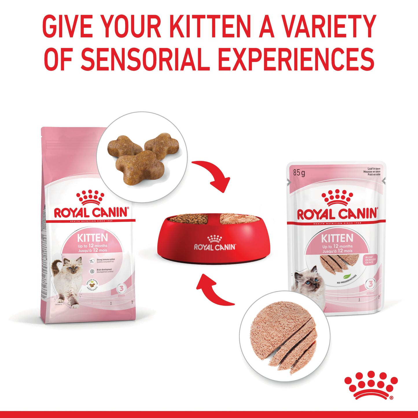 Royal Canin Kitten Dry Food