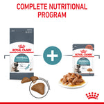 Royal Canin Hairball Care Adult Dry Cat Food