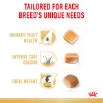 Royal Canin Miniature Schnauzer Adult Dry Dog Food