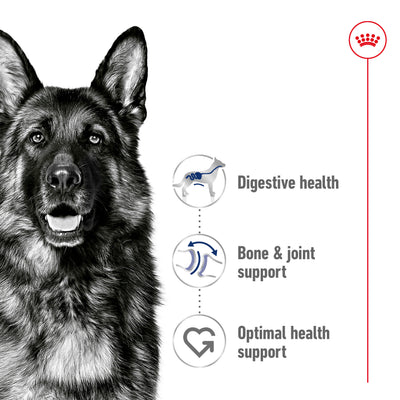 SALE 10% OFF [15KG] Royal Canin Maxi Adult Dry Dog Food