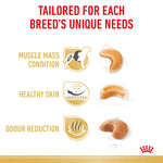 Royal Canin French Bulldog Adult Adult Dry Dog Food