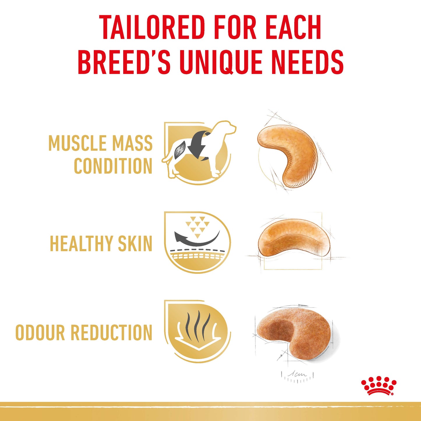 Royal Canin French Bulldog Adult Adult Dry Dog Food