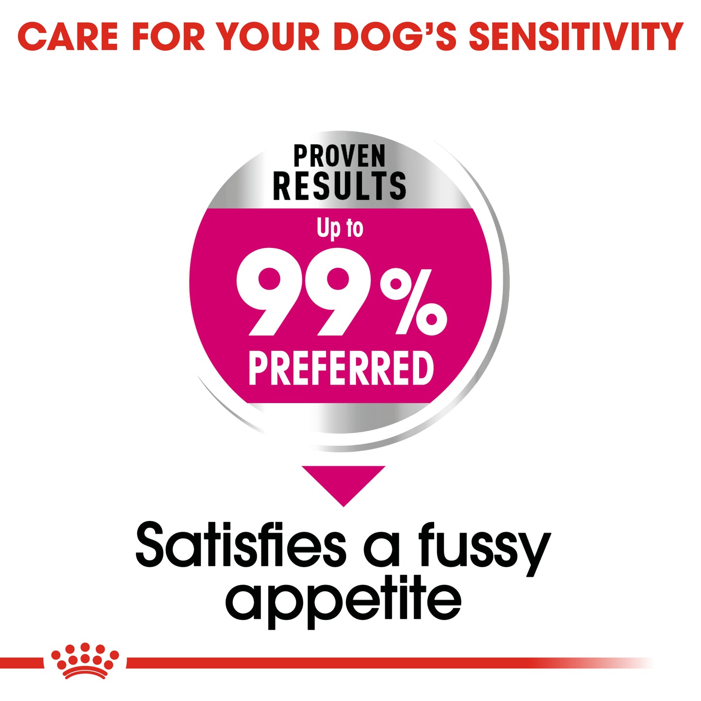 Royal Canin Mini Adult Exigent Dry Dog Food