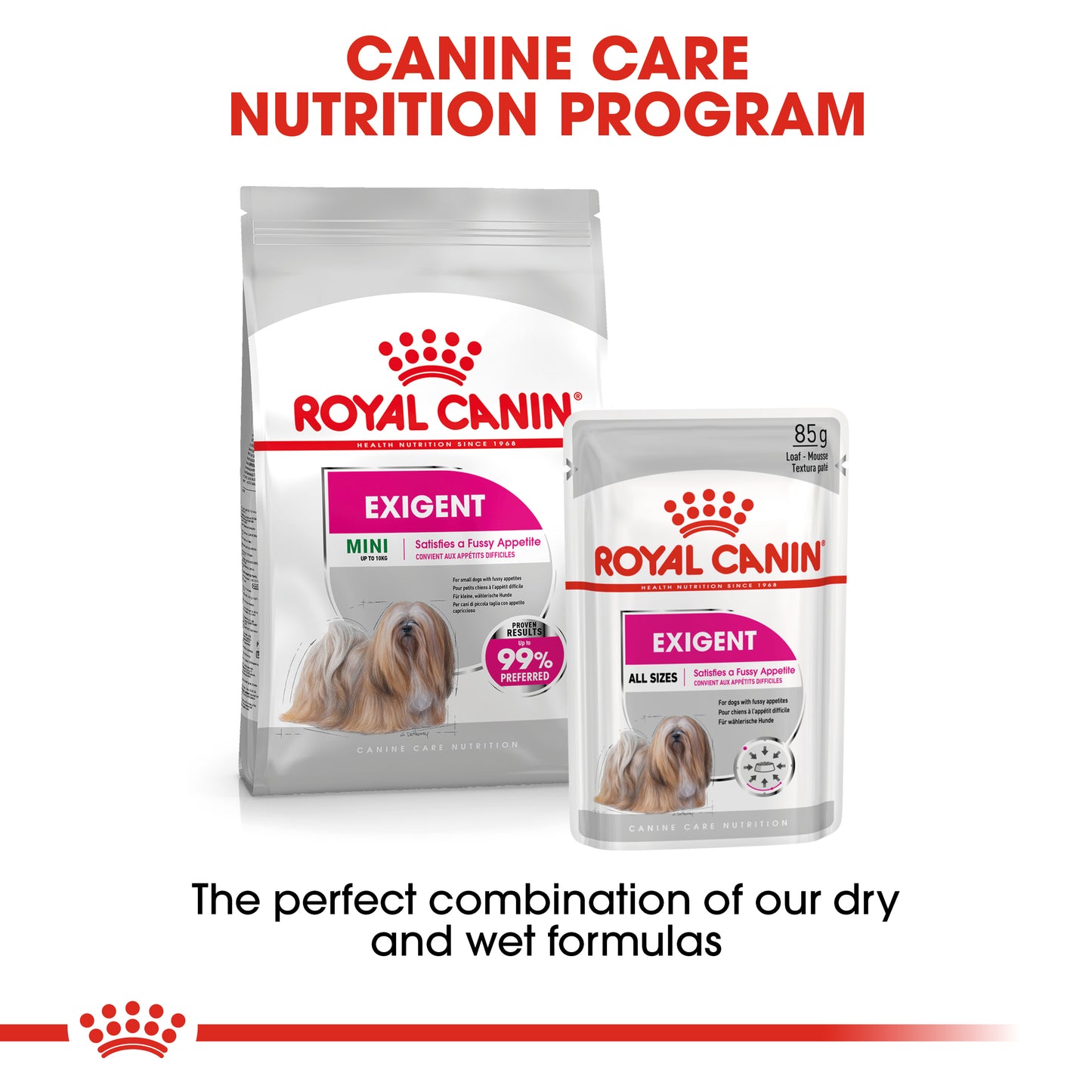 Royal Canin Mini Adult Exigent Dry Dog Food