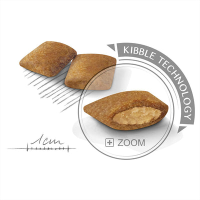Royal Canin Mini Adult Exigent Dry Dog Food