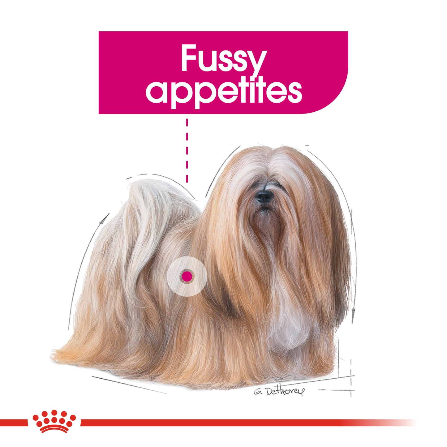 Royal Canin Mini Adult Exigent Dry Dog Food