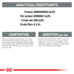 Royal Canin Mini Dental Care Dry Adult Dog Food