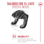 Royal Canin  Ageing 11+ Adult Dry Cat Food