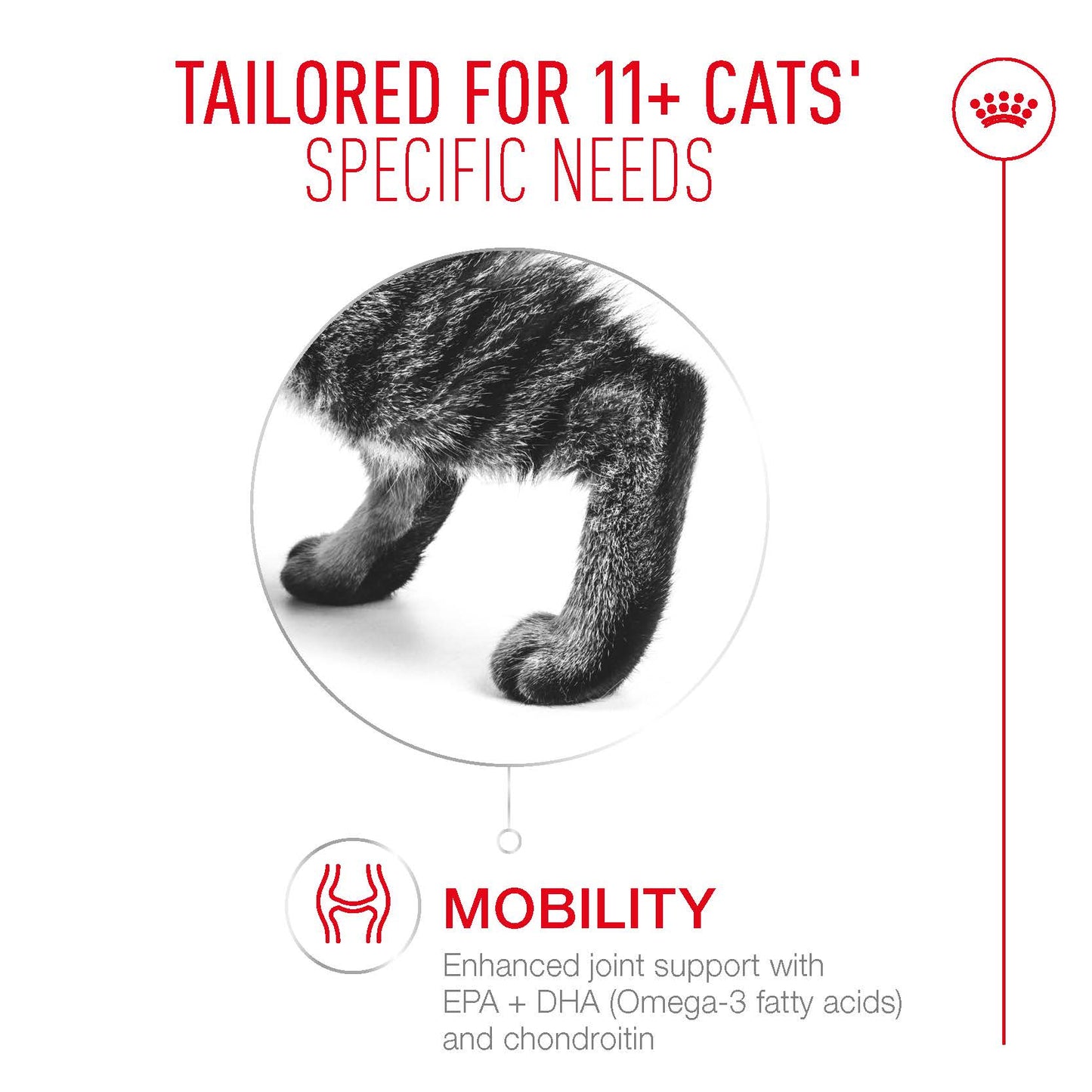Royal Canin  Ageing 11+ Adult Dry Cat Food