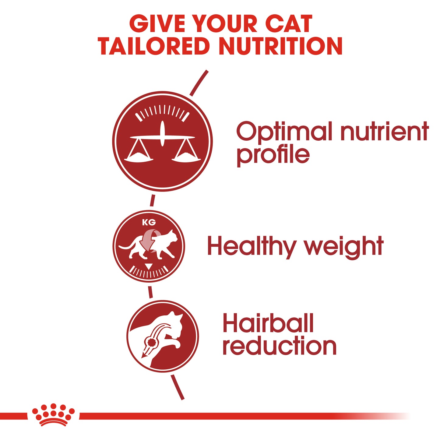 Royal Canin Fit Adult Dry Cat Food