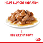 SALE 20% OFF - Royal Canin  Urinary Care Gravy Adult Wet Cat Food Pouches