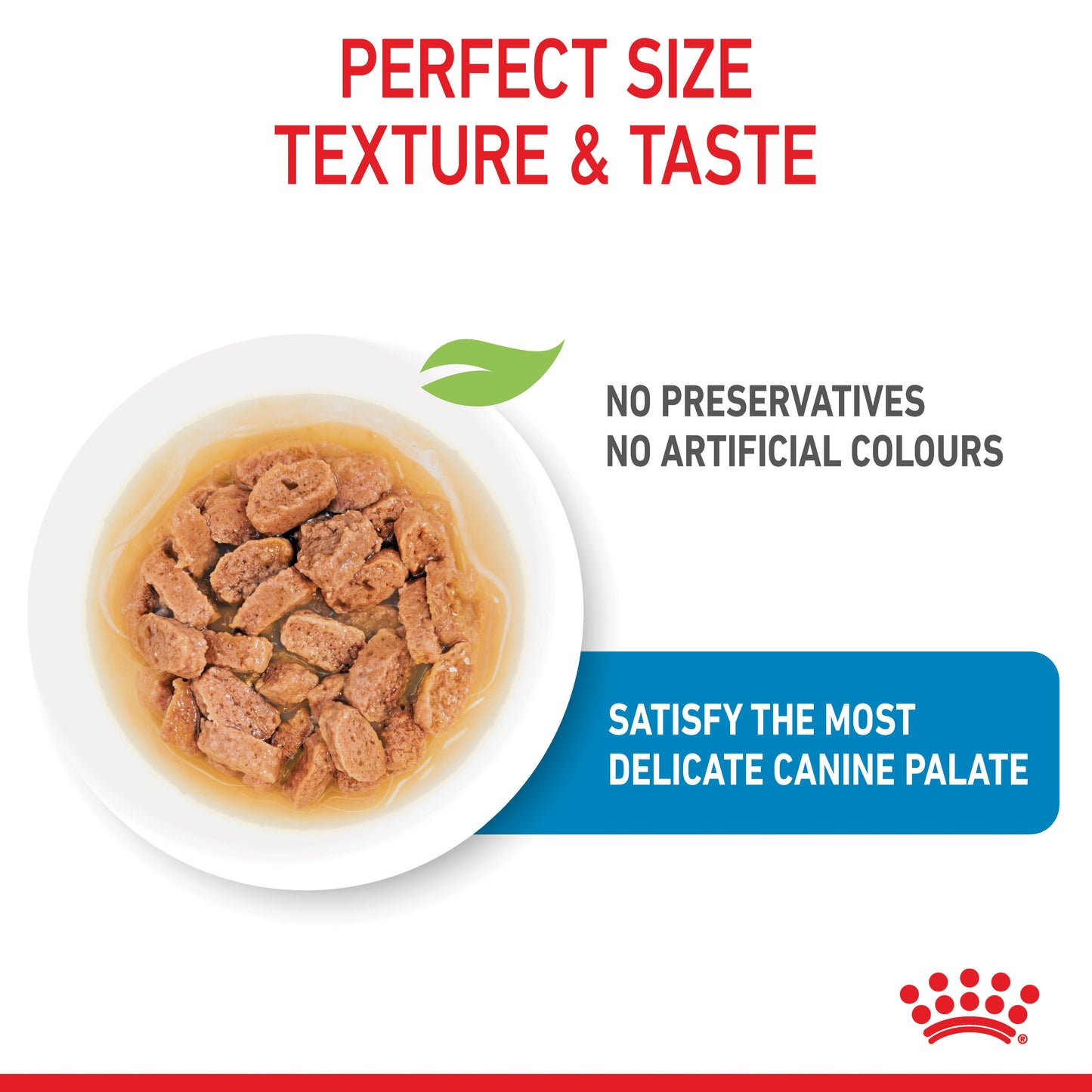 Royal Canin Mini Puppy Chunks In Gravy Pouches 85g