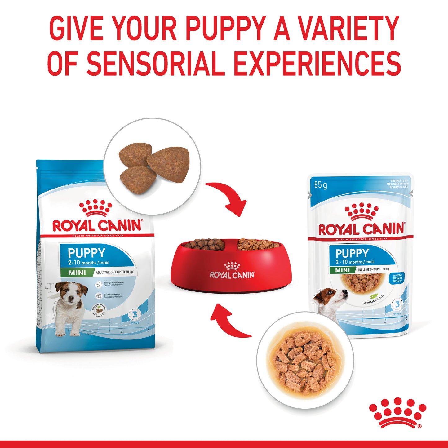 Royal Canin Mini Puppy Chunks In Gravy Pouches 85g