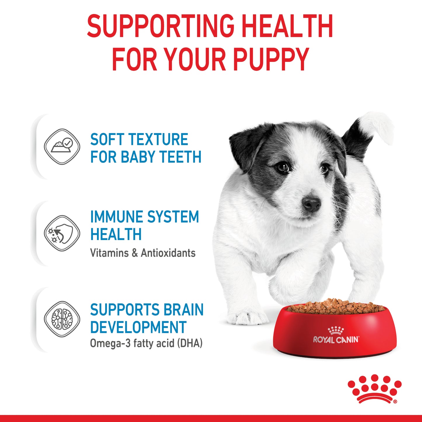 Royal Canin Mini Puppy Chunks In Gravy Pouches 85g