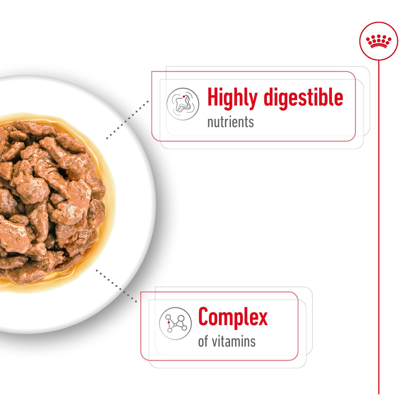 Royal Canin Mini Adult Wet Food Chunks in Gravy 85g