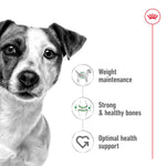 Royal Canin Mini Adult Wet Food Chunks in Gravy 85g