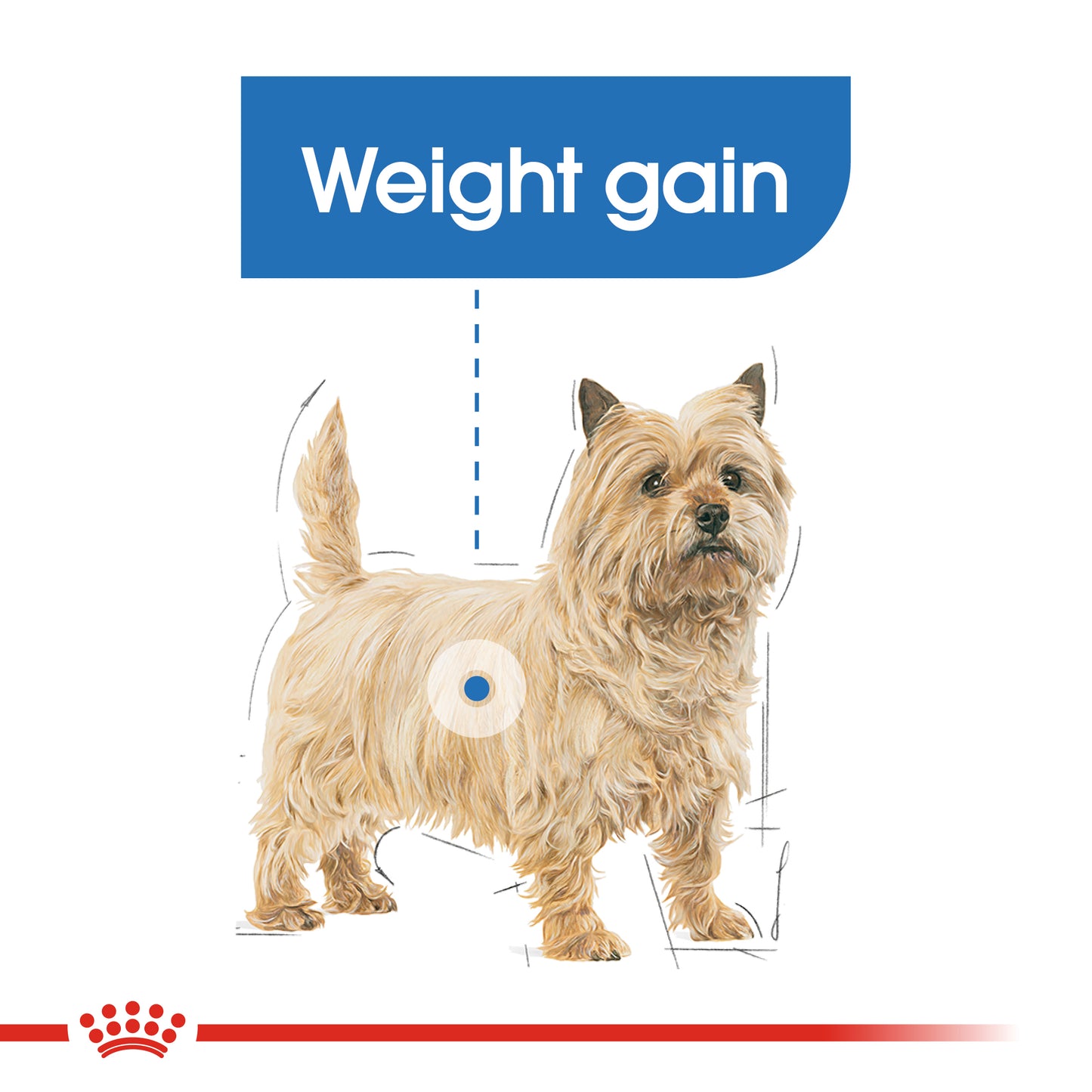 Royal Canin Light Weight Care Wet Loaf Pouches 85g