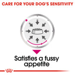 Royal Canin Exigent Loaf Wet Dog Food Pouches 85g