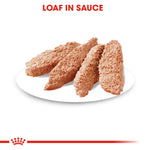 Royal Canin Exigent Loaf Wet Dog Food Pouches 85g