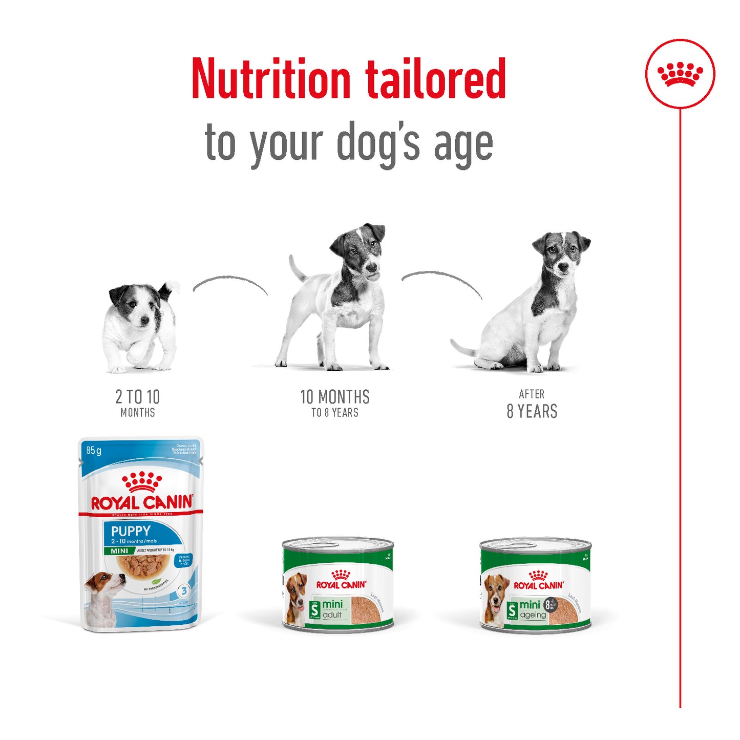SALE 20% OFF - Royal Canin Mini Ageing Loaf Wet Dog Food Can 195g
