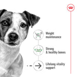 SALE 20% OFF - Royal Canin Mini Ageing Loaf Wet Dog Food Can 195g