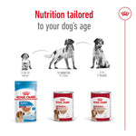 SALE 20% OFF - Royal Canin Medium Adult Loaf Wet Dog Food Can 410g