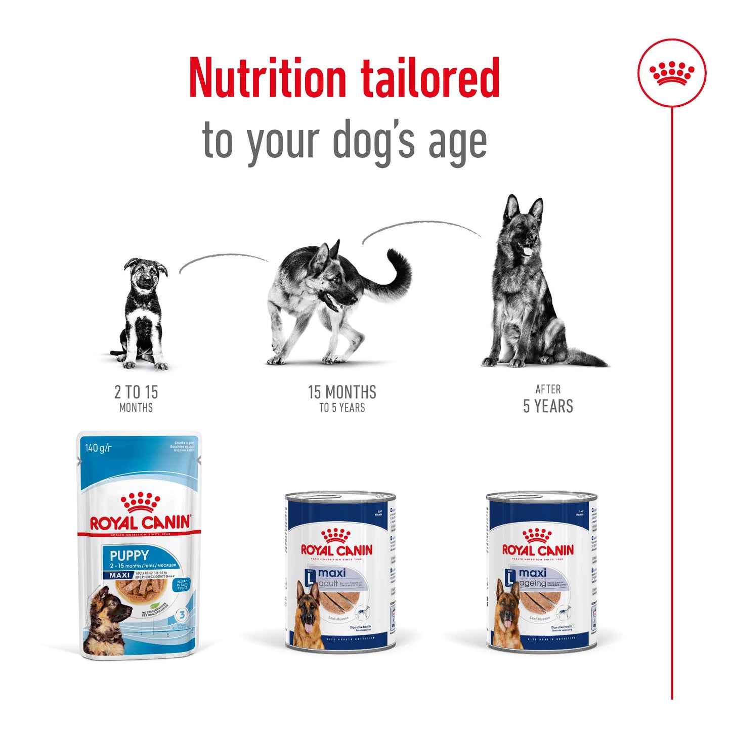 SALE 20% OFF - Royal Canin Maxi Adult Loaf Wet Dog Food Can 410g