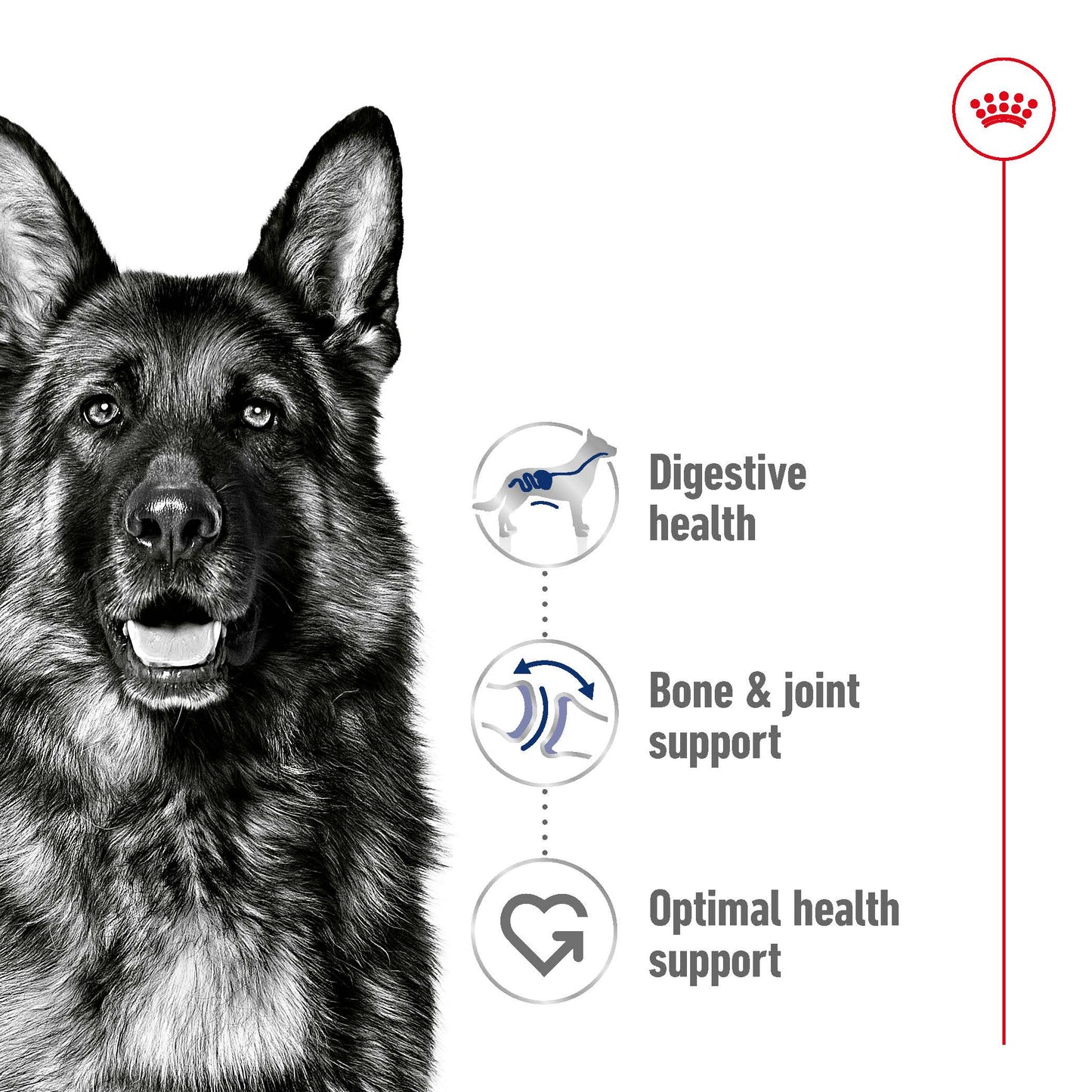 SALE 20% OFF - Royal Canin Maxi Adult Loaf Wet Dog Food Can 410g