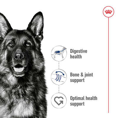 SALE 20% OFF - Royal Canin Maxi Adult Loaf Wet Dog Food Can 410g