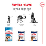 SALE 20% OFF - Royal Canin Maxi Ageing Loaf Wet Dog Food Can 410g