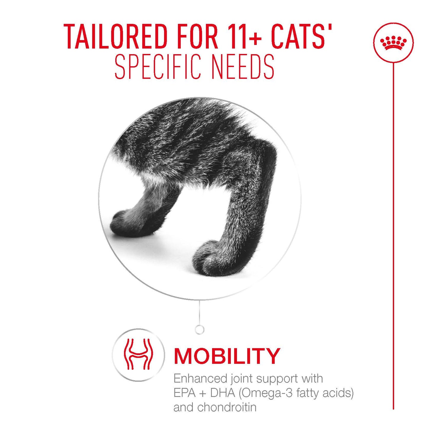 SALE 20% OFF - Royal Canin Ageing 11+ Gravy Adult Wet Cat Food Pouches