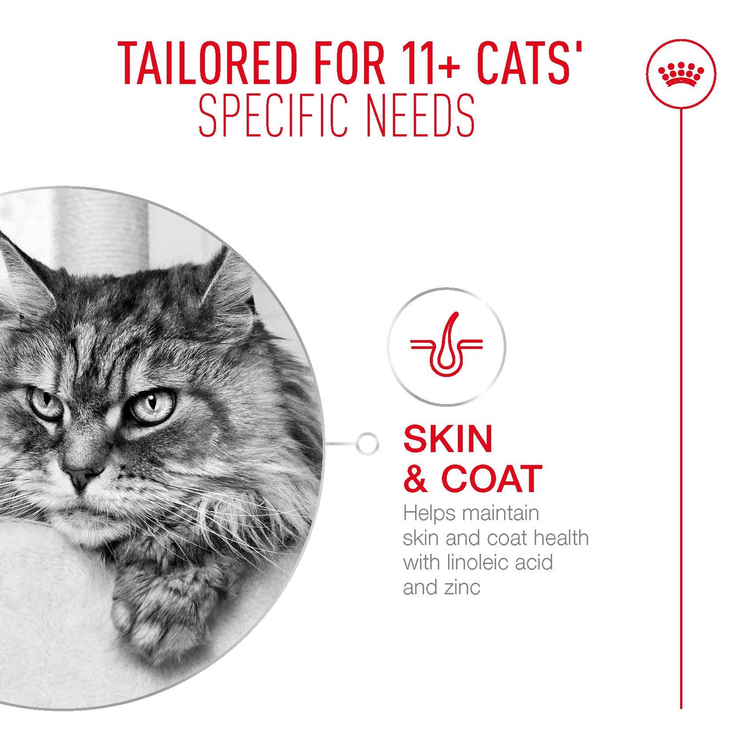 SALE 20% OFF - Royal Canin Ageing 11+ Gravy Adult Wet Cat Food Pouches