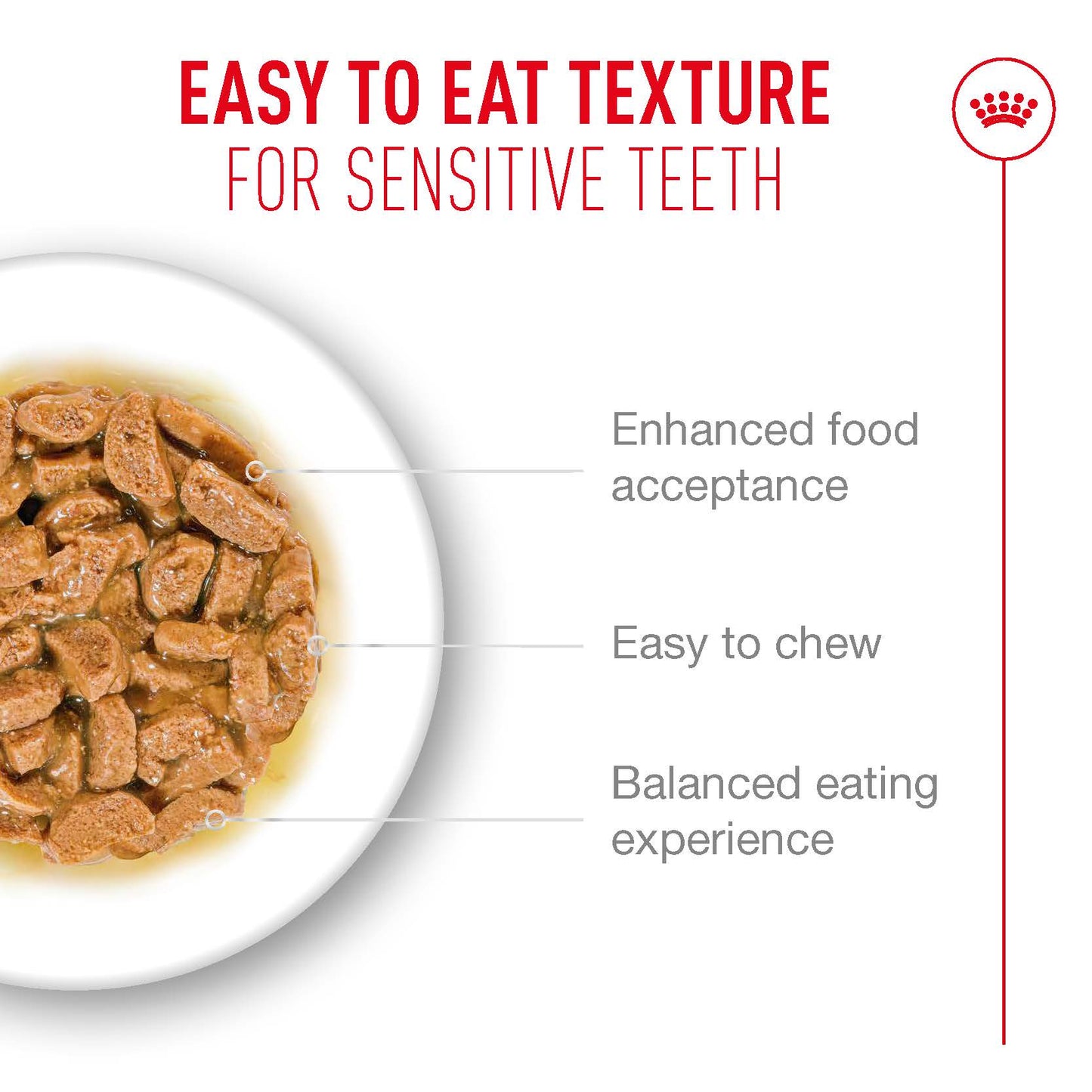 SALE 20% OFF - Royal Canin Ageing 11+ Gravy Adult Wet Cat Food Pouches