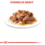 SALE 20% OFF - Royal Canin  Instinctive Adult in Gravy Wet Cat Food Pouches