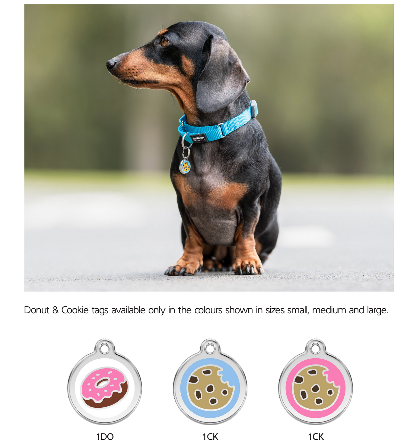 Dingo tags for dogs best sale