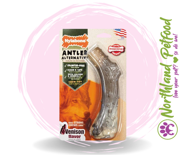 Nylabone Dura Chew Antler Alternative All Good Petfood