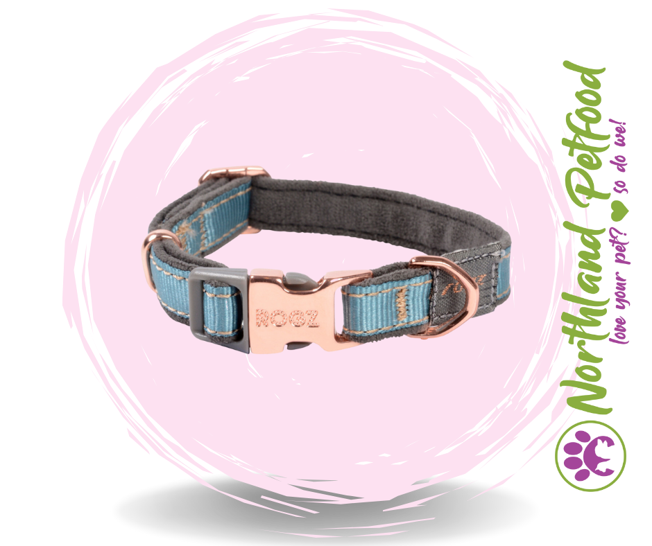 Rogz Classic Collars / Turquoise Moon