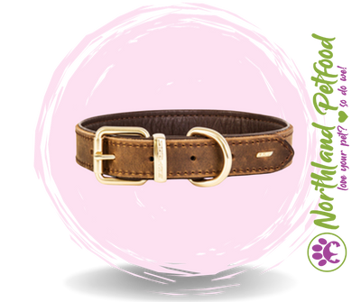 SALE 25% OFF -- EzyDog Oxford Leather Brown Collars