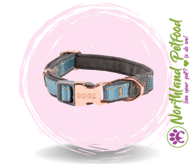 Rogz Classic Collars / Turquoise Moon