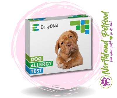 EasyDNA Dog Allergen Test Kit