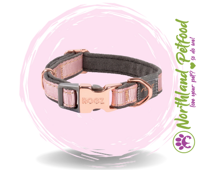 Rogz Classic Collars / Pink Blush