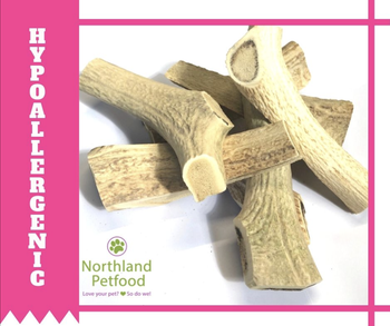 Deer Antler - Two Sizes Available!